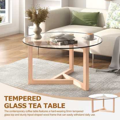 Violet Glass Coffee Table (natural)