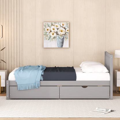 Sophie Gray Twin Platform Bed with 2 Drawers